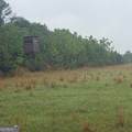 145 +/- ACRES George Smith Road - Photo 14