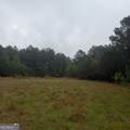 145 +/- ACRES George Smith Road - Photo 15