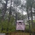 145 +/- ACRES George Smith Road - Photo 16