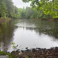 145 +/- ACRES George Smith Road - Photo 19