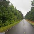 145 +/- ACRES George Smith Road - Photo 2