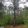 145 +/- ACRES George Smith Road - Photo 22