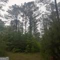 145 +/- ACRES George Smith Road - Photo 24