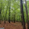 145 +/- ACRES George Smith Road - Photo 26