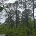 145 +/- ACRES George Smith Road - Photo 27