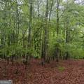 145 +/- ACRES George Smith Road - Photo 28