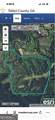 145 +/- ACRES George Smith Road - Photo 31
