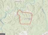 145 +/- ACRES George Smith Road - Photo 35