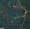 145 +/- ACRES George Smith Road - Photo 36