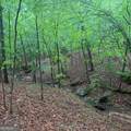 145 +/- ACRES George Smith Road - Photo 4
