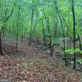 145 +/- ACRES George Smith Road - Photo 5