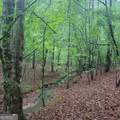145 +/- ACRES George Smith Road - Photo 6