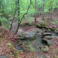 145 +/- ACRES George Smith Road - Photo 7