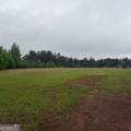 145 +/- ACRES George Smith Road - Photo 8