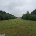 145 +/- ACRES George Smith Road - Photo 9