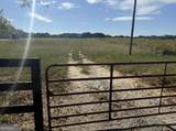 195 Hamil Road - Photo 2