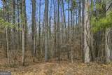 2025 Soap Creek Road - Photo 10