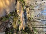2025 Soap Creek Road - Photo 19