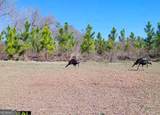 0 Neily Wagon Road - Photo 17