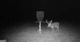 0 Neily Wagon Road - Photo 18