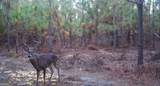 0 Neily Wagon Road - Photo 20