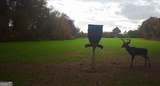 0 Neily Wagon Road - Photo 21
