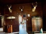 0 Neily Wagon Road - Photo 5
