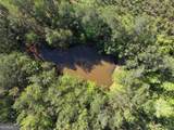 118 +/- Acres On Lumpkin Road - Photo 12