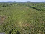 118 +/- Acres On Lumpkin Road - Photo 13