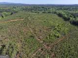 118 +/- Acres On Lumpkin Road - Photo 14