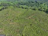118 +/- Acres On Lumpkin Road - Photo 16