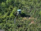 118 +/- Acres On Lumpkin Road - Photo 18