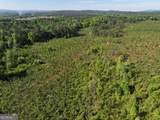 118 +/- Acres On Lumpkin Road - Photo 19