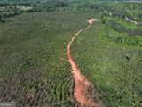 118 +/- Acres On Lumpkin Road - Photo 20