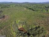 118 +/- Acres On Lumpkin Road - Photo 3