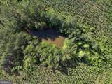 118 +/- Acres On Lumpkin Road - Photo 4
