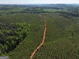 118 +/- Acres On Lumpkin Road - Photo 5