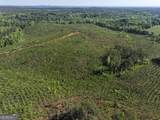 118 +/- Acres On Lumpkin Road - Photo 6