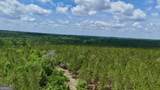 0 Neily Wagon Road - Photo 10