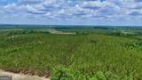 0 Neily Wagon Road - Photo 3