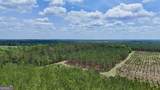 0 Neily Wagon Road - Photo 8