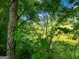 5220 Bogus Road - Photo 43