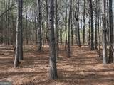 L2 Keysville-Boggs Academy Road - Photo 1