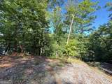 0 Limber Lost Trail - Photo 4