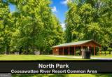 266 Myna Drive - Photo 38