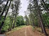 715 Fulsome Creek Road - Photo 103