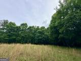 715 Fulsome Creek Road - Photo 106