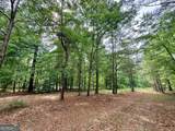 715 Fulsome Creek Road - Photo 110