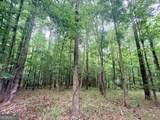 715 Fulsome Creek Road - Photo 39