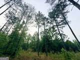 715 Fulsome Creek Road - Photo 47